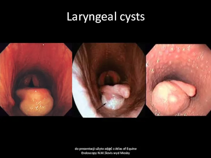 Laryngeal cysts do prezentacji użyto zdjęć z Atlas of Equine Endoscopy N.M.Slovis wyd Mosby