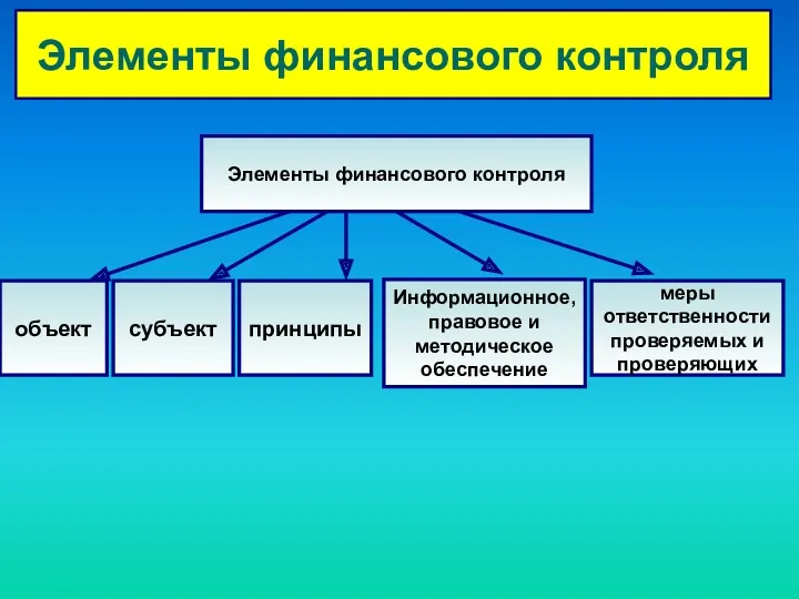 Элементы финансового контроля