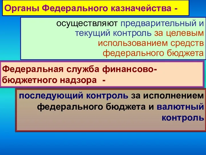 Органы Федерального казначейства - осуществляют предварительный и текущий контроль за