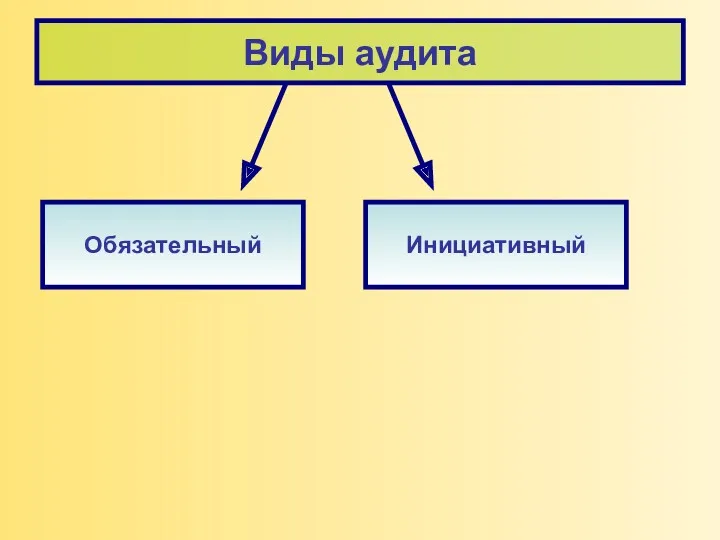 Виды аудита Обязательный Инициативный