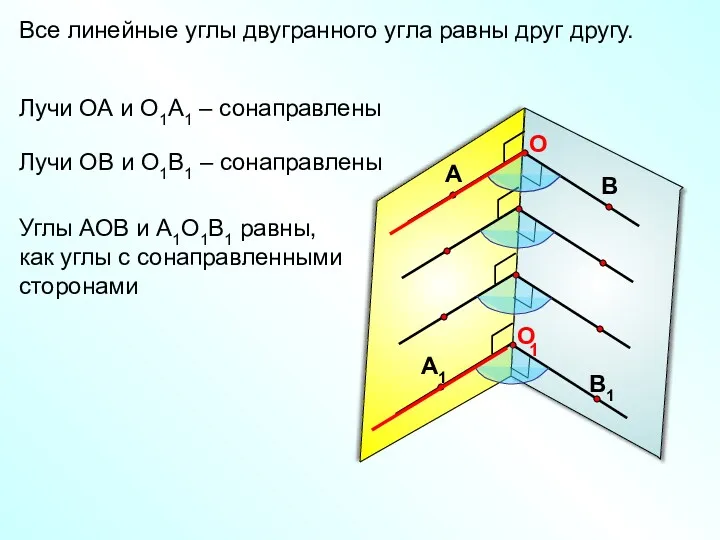 Все линейные углы двугранного угла равны друг другу. 1 Лучи