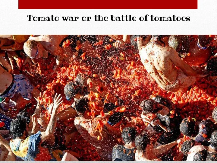 Tomato war or the battle of tomatoes