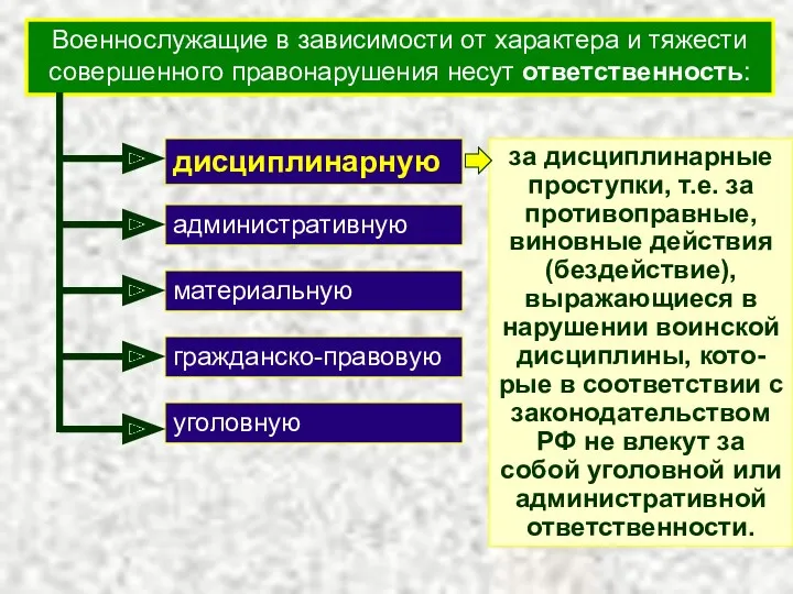 Военнослужащие в зависимости от характера и тяжести совершенного правонарушения несут