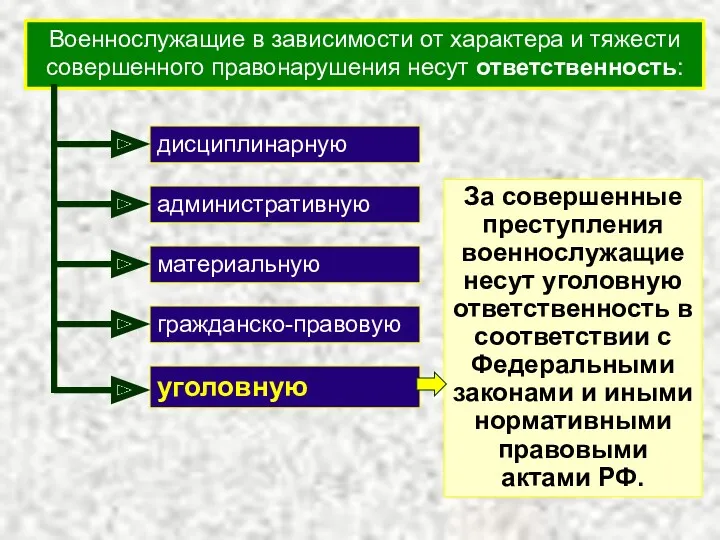 Военнослужащие в зависимости от характера и тяжести совершенного правонарушения несут