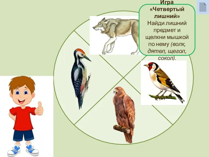 Игра «Четвертый лишний» Найди лишний предмет и щелкни мышкой по нему (волк, дятел, щегол, сокол).