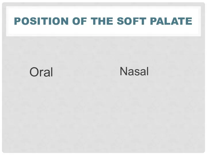 POSITION OF THE SOFT PALATE Oral Nasal