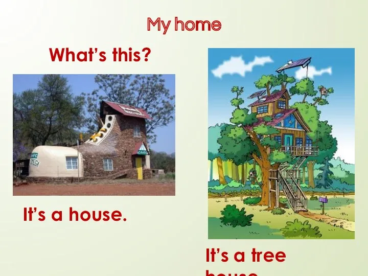 My home What’s this? It’s a house. It’s a tree house.