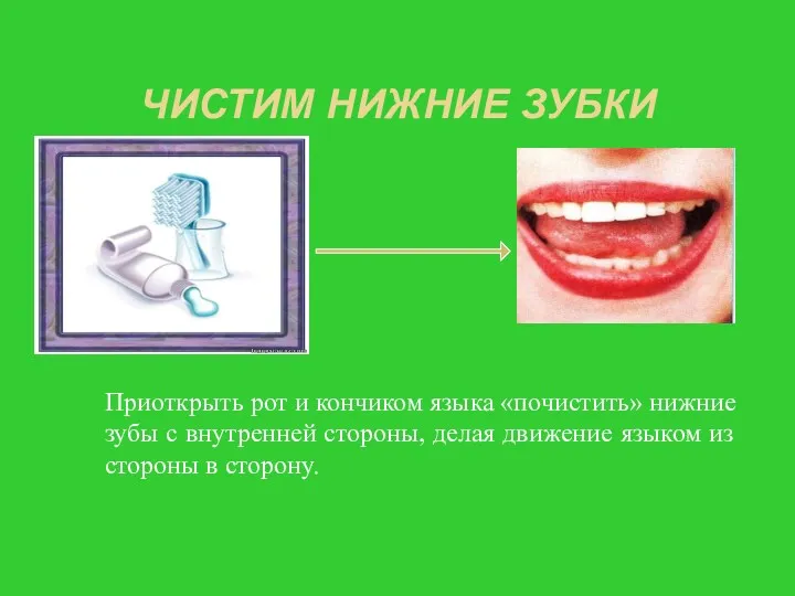 ЧИСТИМ НИЖНИЕ ЗУБКИ Приоткрыть рот и кончиком языка «почистить» нижние