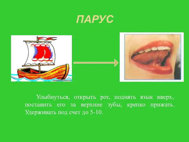 ПАРУС Улыбнуться, открыть рот, поднять язык вверх, поставить его за