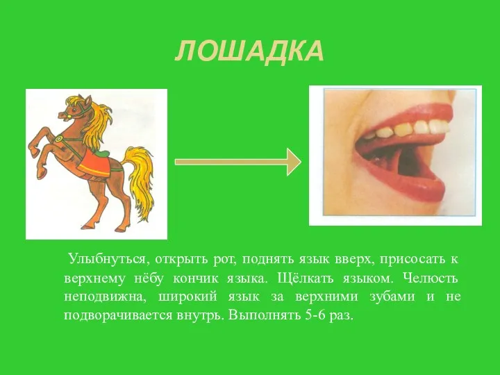 ЛОШАДКА Улыбнуться, открыть рот, поднять язык вверх, присосать к верхнему