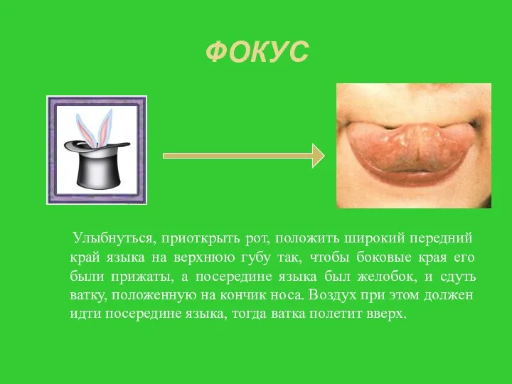 ФОКУС Улыбнуться, приоткрыть рот, положить широкий передний край языка на