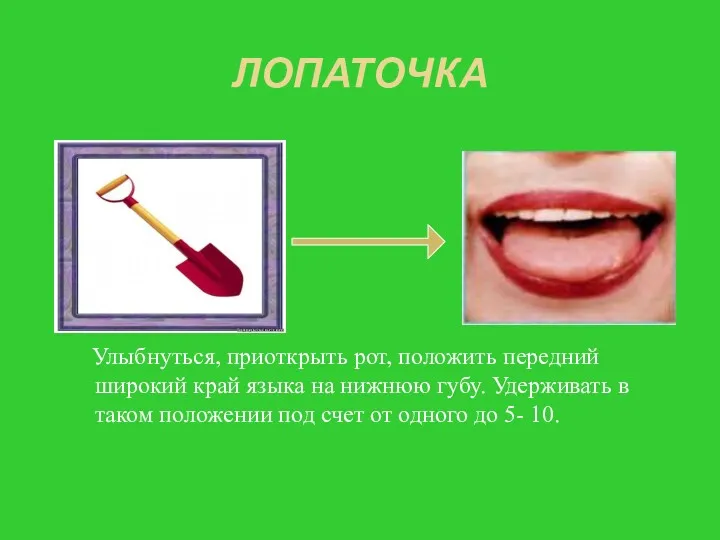 ЛОПАТОЧКА Улыбнуться, приоткрыть рот, положить передний широкий край языка на