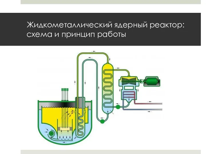 Жидкометаллический ядерный реактор: схема и принцип работы