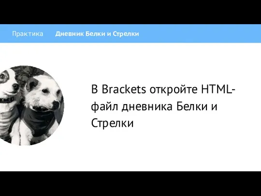 Практика Дневник Белки и Стрелки В Brackets откройте HTML-файл дневника Белки и Стрелки