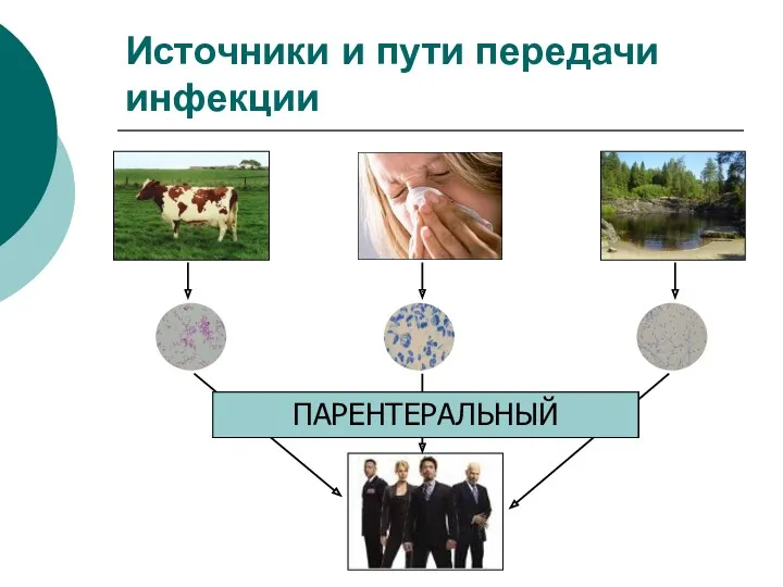 Источники и пути передачи инфекции АЭРОГЕННЫЙ ВОДНЫЙ АЛИМЕНТАРНЫЙ КОНТАКТНО-БЫТОВОЙ ИНОКУЛЯЦИОННЫЙ ТРАНСПЛАЦЕНТАРНЫЙ ПАРЕНТЕРАЛЬНЫЙ