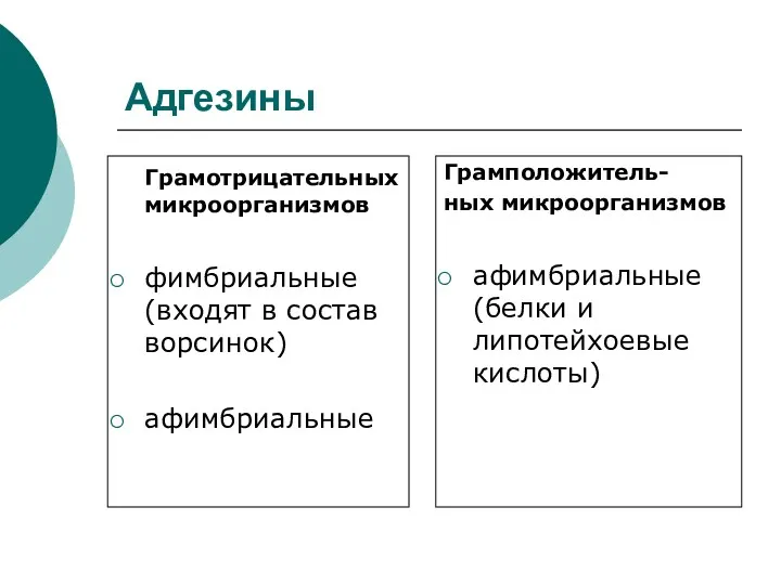 Адгезины Грамотрицательных микроорганизмов фимбриальные (входят в состав ворсинок) афимбриальные Грамположитель-