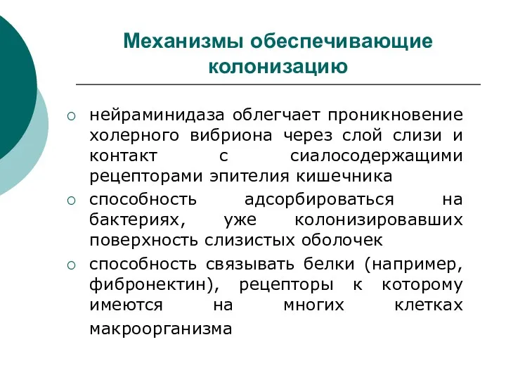 Механизмы обеспечивающие колонизацию нейраминидаза облегчает проникновение холерного вибриона через слой