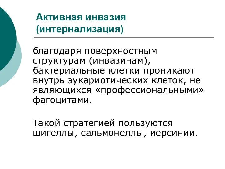 Активная инвазия (интернализация) благодаря поверхностным структурам (инвазинам), бактериальные клетки проникают