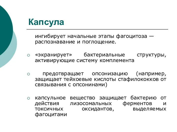 Капсула ингибирует начальные этапы фагоцитоза — распознавание и поглощение. «экранирует»