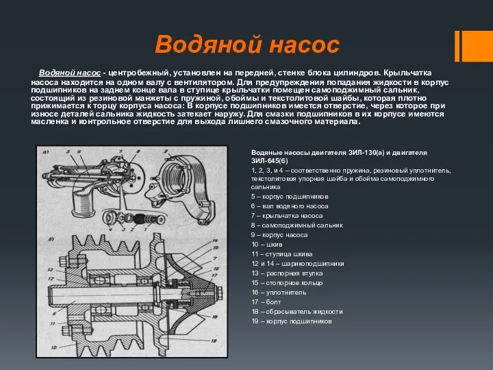 Водяной насос Водяной насос - центробежный, установлен на перед­ней, стенке