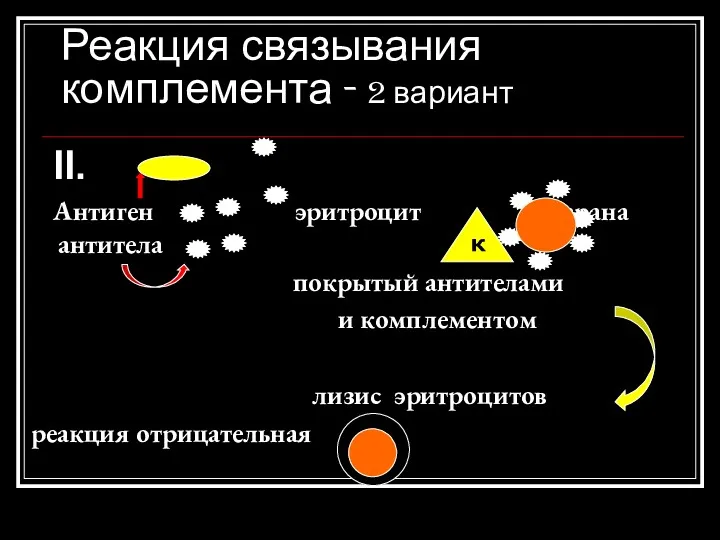 Реакция связывания комплемента - 2 вариант II. Антиген эритроцит барана