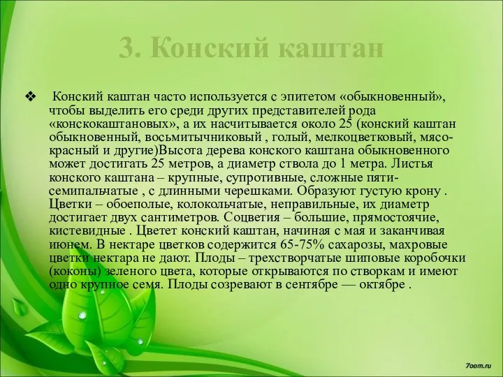 3. Конский каштан Конский каштан часто используется с эпитетом «обыкновенный»,