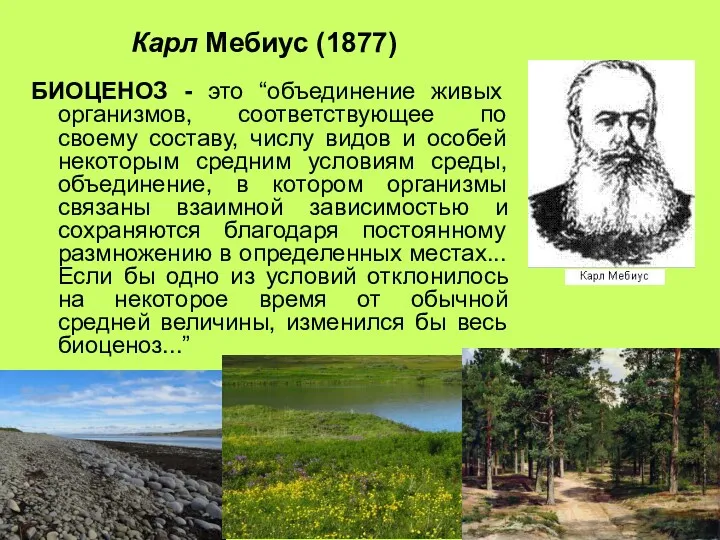 Карл Мебиус (1877) БИОЦЕНОЗ - это “объединение живых организмов, соответствующее