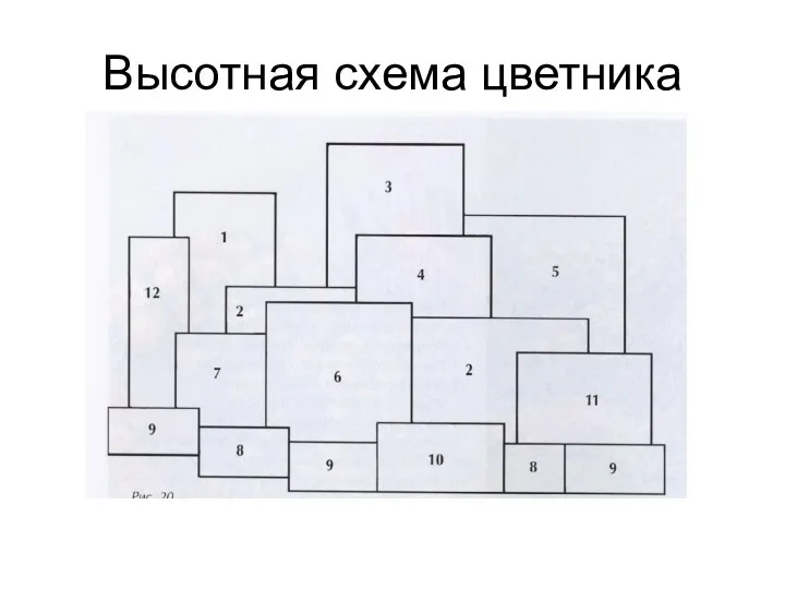 Высотная схема цветника