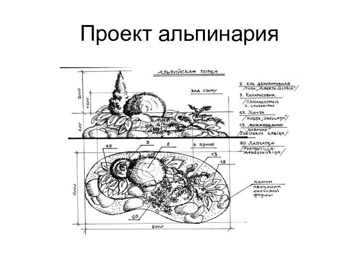 Проект альпинария