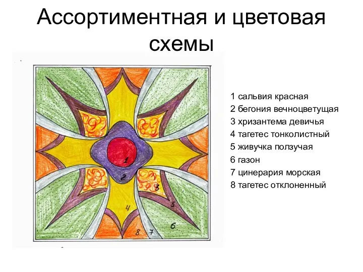 Ассортиментная и цветовая схемы 1 сальвия красная 2 бегония вечноцветущая