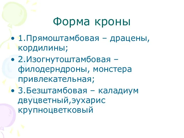 Форма кроны 1.Прямоштамбовая – драцены, кордилины; 2.Изогнутоштамбовая – филодерндроны, монстера привлекательная; 3.Безштамбовая – каладиум двуцветный,эухарис крупноцветковый