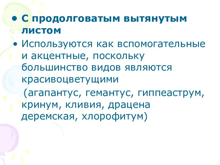 С продолговатым вытянутым листом Используются как вспомогательные и акцентные, поскольку