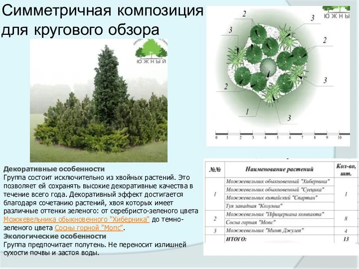 Симметричная композиция для кругового обзора Декоративные особенности Группа состоит исключительно из хвойных растений.