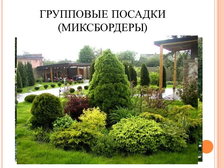 ГРУППОВЫЕ ПОСАДКИ (МИКСБОРДЕРЫ)