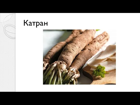 Катран