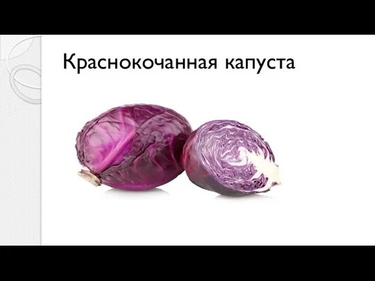 Краснокочанная капуста