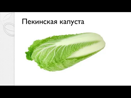 Пекинская капуста