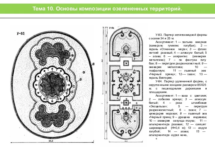 У-83. Партер эллипсовидной формы с осями 34 и 25 м.