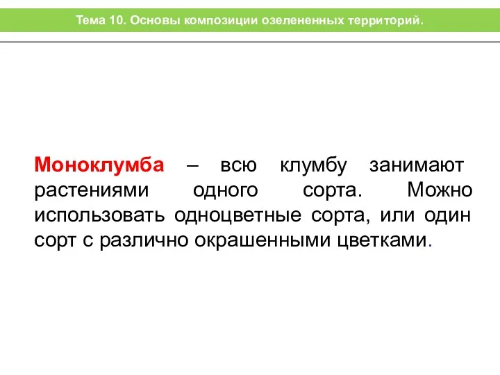 Моноклумба – всю клумбу занимают растениями одного сорта. Можно использовать