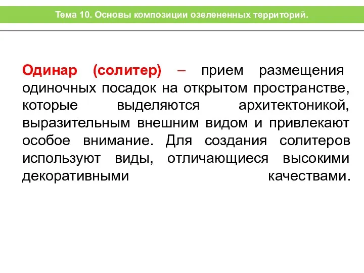 Одинар (солитер) – прием размещения одиночных посадок на открытом пространстве,