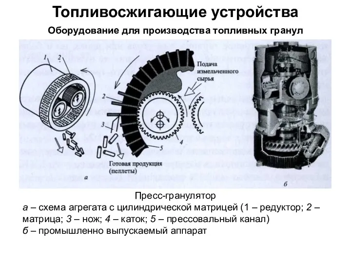 Топливосжигающие устройства Оборудование для производства топливных гранул Пресс-гранулятор а –