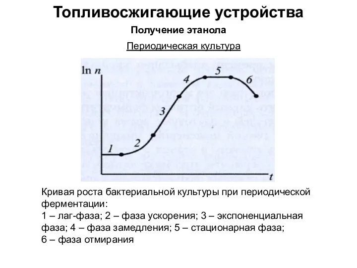 Топливосжигающие устройства Получение этанола Периодическая культура Кривая роста бактериальной культуры