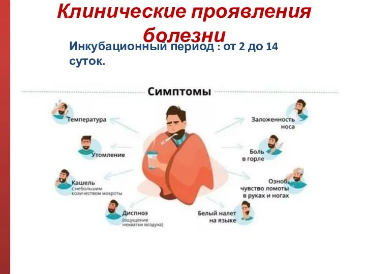 Клинические проявления болезни Инкубационный период : от 2 до 14 суток.