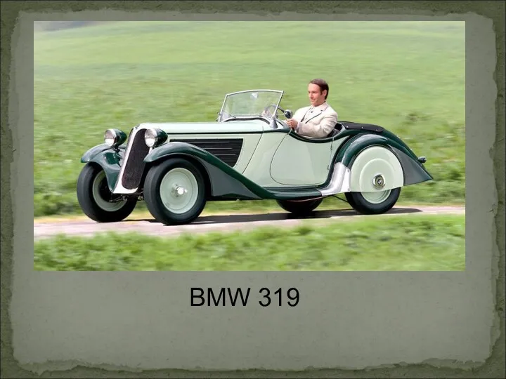 BMW 319