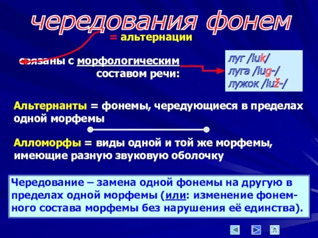 чередования фонем = альтернации связаны с морфологическим составом речи: луг