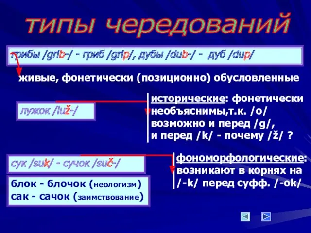 типы чередований грибы /grib-/ - гриб /grip/, дубы /dub-/ - дуб /dup/ живые,