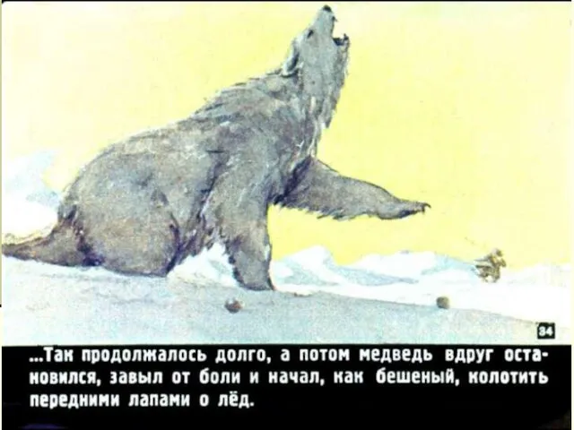 Как вел себя медведь дальше? «Медведь царапал себя когтями, прыгал по льду, словно