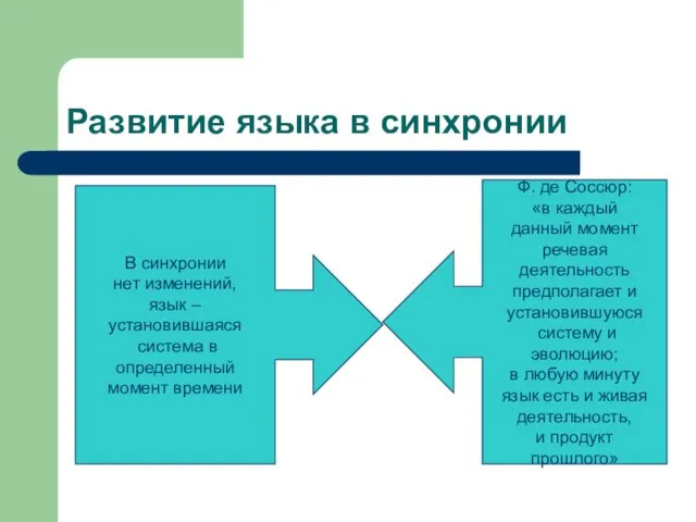 Развитие языка в синхронии В синхронии нет изменений, язык – установившаяся система в