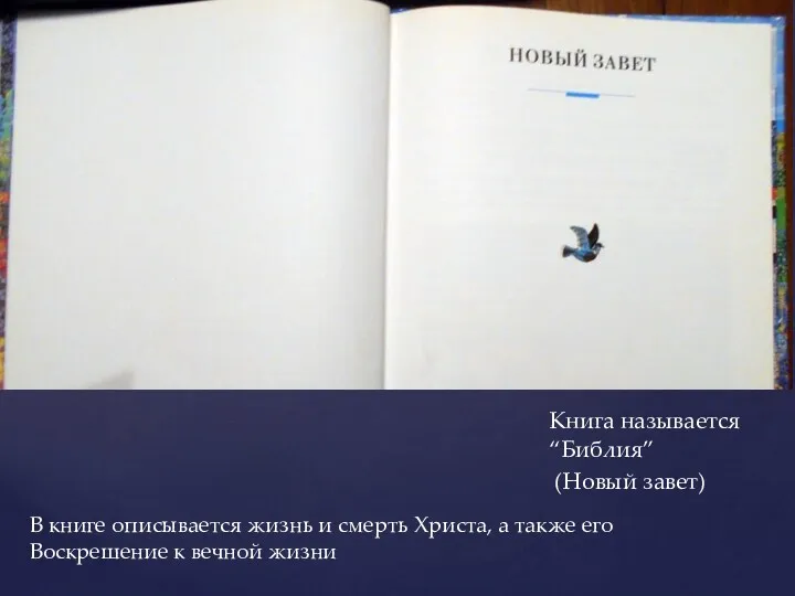 В книге описывается жизнь и смерть Христа, а также его Воскрешение к вечной