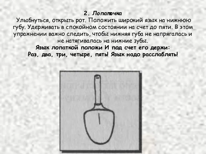 2. Лопаточка Улыбнуться, открыть рот. Положить широкий язык на нижнюю